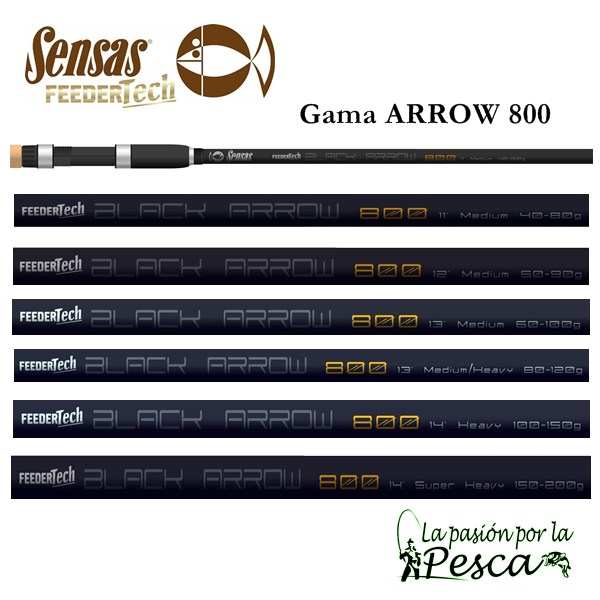 GAMA ARROW 800